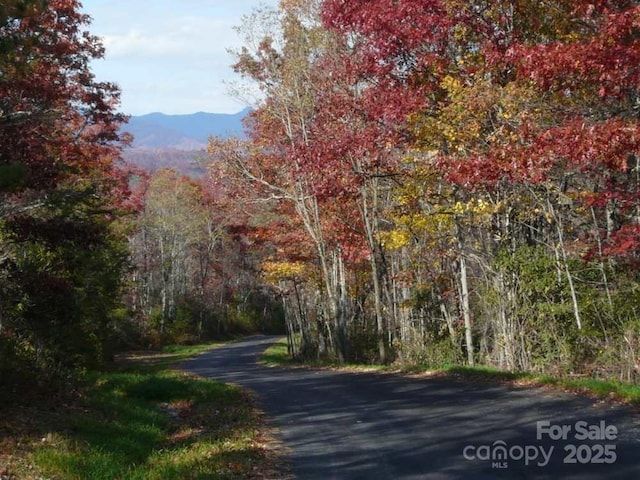TBD Richland Ridge Road, Lake Toxaway, NC 28747