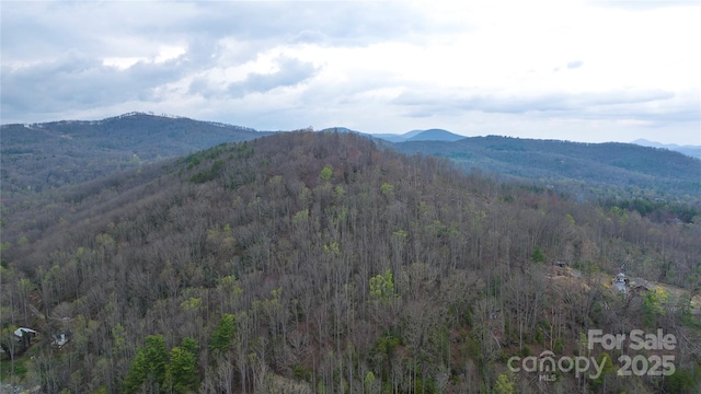0 Courtney Dr, Hendersonville, NC 28791