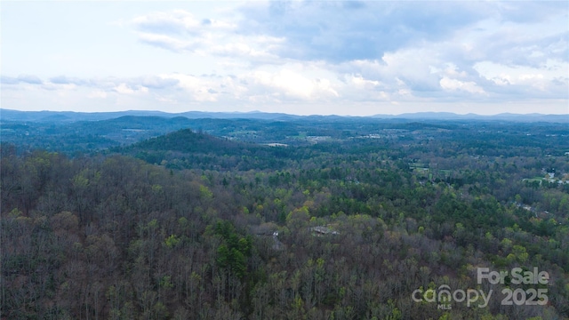 0 Courtney Dr, Hendersonville, NC 28791