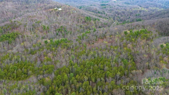 0 Courtney Dr, Hendersonville, NC 28791