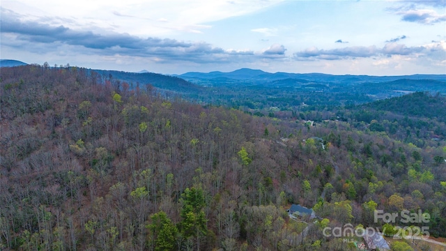 0 Courtney Dr, Hendersonville, NC 28791