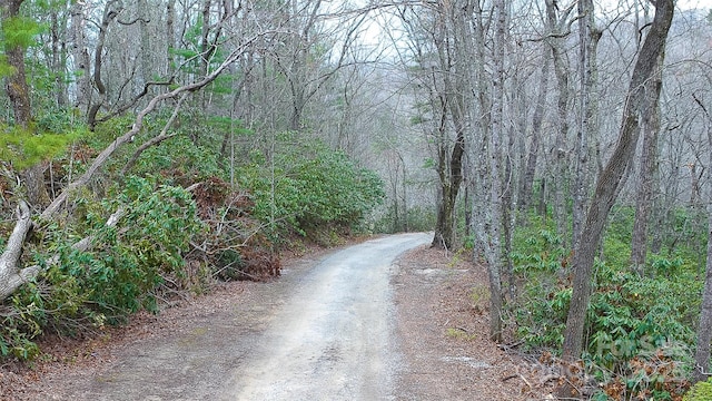 0 Courtney Dr, Hendersonville, NC 28791