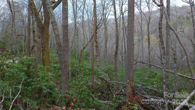 0 Courtney Dr, Hendersonville, NC 28791
