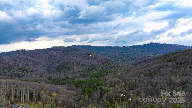 0 Courtney Dr, Hendersonville, NC 28791