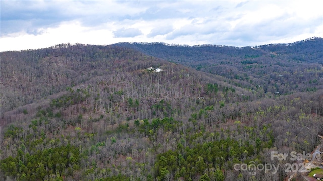 0 Courtney Dr, Hendersonville, NC 28791