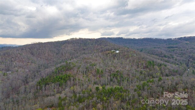 0 Courtney Dr, Hendersonville, NC 28791