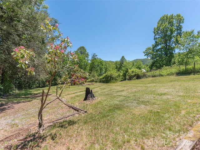 292 Cook Rd, Canton, NC 28716 - view of grassy yard