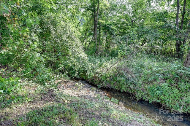 98 Driftwood Ln Unit 7, Mills River, NC 28759 - view of tree filled area