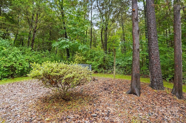 1035 Wexford Pl NW, Concord, NC 28027 - view of yard
