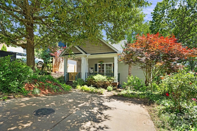 28 Richie St, Asheville, NC 28801 - view of front of property with covered porch