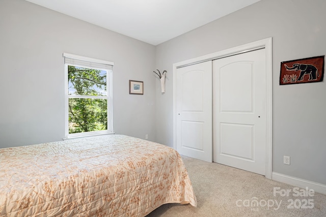 28 Richie St, Asheville, NC 28801 - bedroom featuring carpet floors, a closet, and baseboards