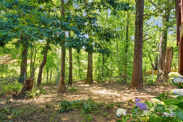 28 Richie St, Asheville, NC 28801 - view of tree filled area