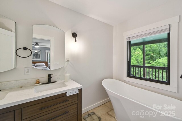 906 Merrills Cove Rd, Asheville, NC 28803 - photo 15