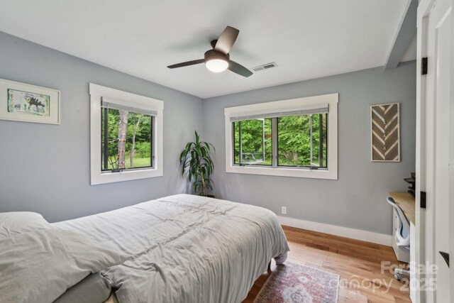906 Merrills Cove Rd, Asheville, NC 28803 - photo 17