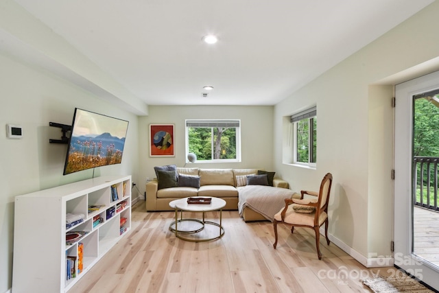 906 Merrills Cove Rd, Asheville, NC 28803 - photo 19