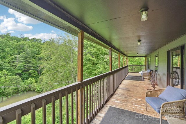 906 Merrills Cove Rd, Asheville, NC 28803 - photo 30