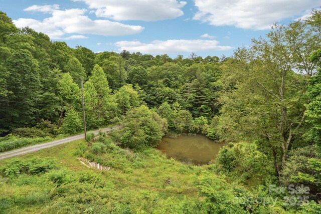 906 Merrills Cove Rd, Asheville, NC 28803 - photo 31