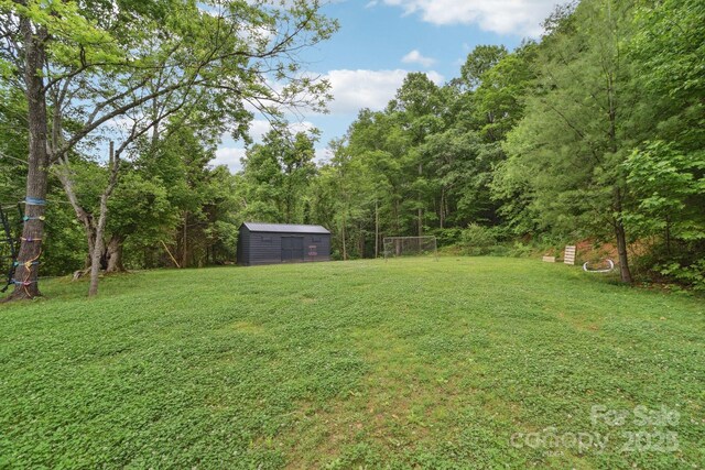 906 Merrills Cove Rd, Asheville, NC 28803 - photo 36
