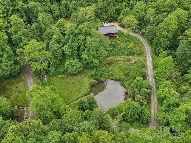 906 Merrills Cove Rd, Asheville, NC 28803 - photo 44