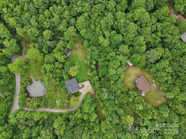 906 Merrills Cove Rd, Asheville, NC 28803 - photo 45