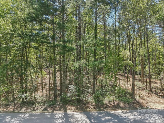 000 Ravenwood Dr Unit 6, Fletcher, NC 28732 - photo 5