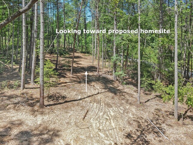 000 Ravenwood Dr Unit 6, Fletcher, NC 28732 - photo 6