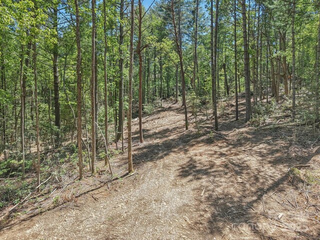 000 Ravenwood Dr Unit 6, Fletcher, NC 28732 - photo 7