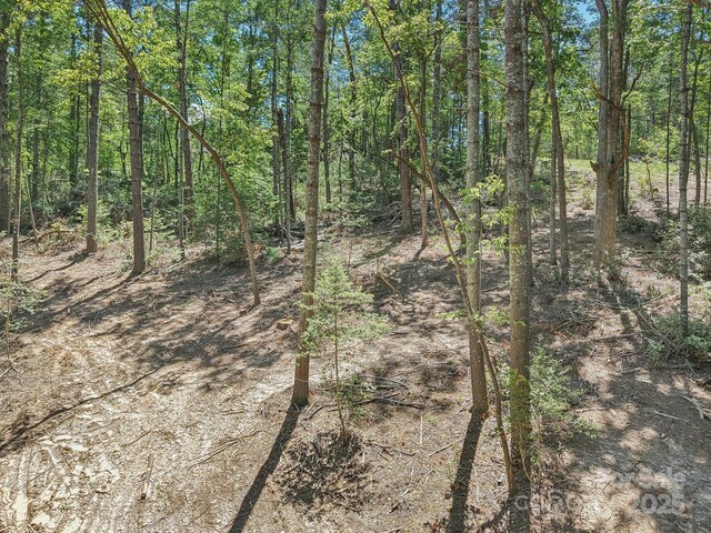 000 Ravenwood Dr Unit 6, Fletcher, NC 28732 - photo 8