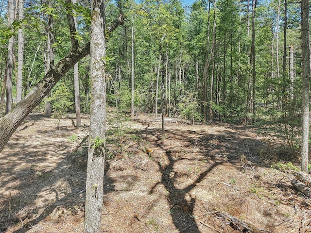 000 Ravenwood Dr Unit 6, Fletcher, NC 28732 - photo 9