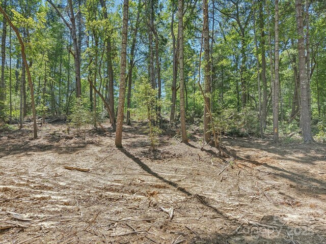 000 Ravenwood Dr Unit 6, Fletcher, NC 28732 - photo 10
