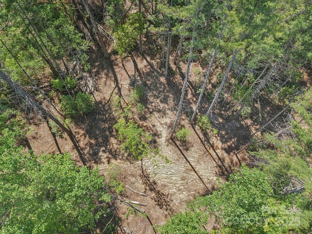 000 Ravenwood Dr Unit 6, Fletcher, NC 28732 - photo 11