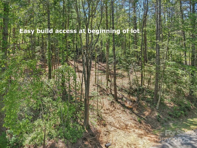 000 Ravenwood Dr Unit 6, Fletcher, NC 28732 - photo 12