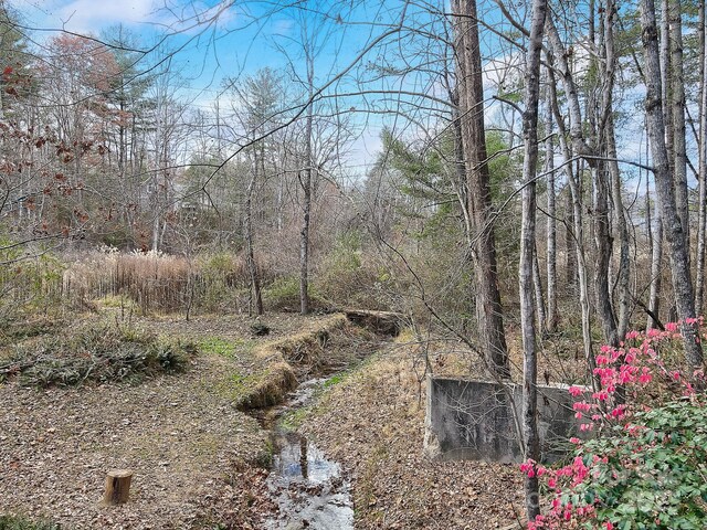 000 Ravenwood Dr Unit 6, Fletcher, NC 28732 - photo 14