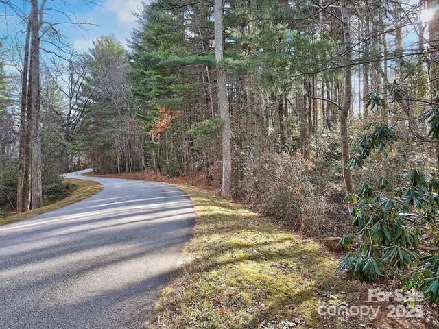 000 Ravenwood Dr Unit 6, Fletcher, NC 28732 - photo 15
