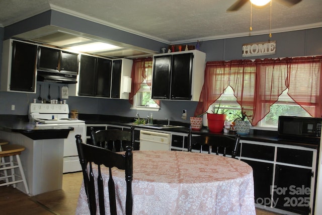 75 Unity Dr, Waynesville, NC 28786 - kitchen with white appliances, dark cabinetry, ventilation hood, ornamental molding, and dark countertops