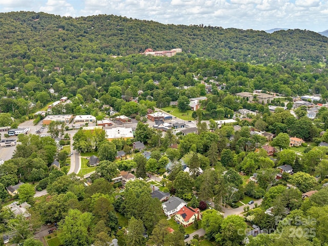 25 Mount Vernon Cir, Asheville, NC 28804 - photo 27