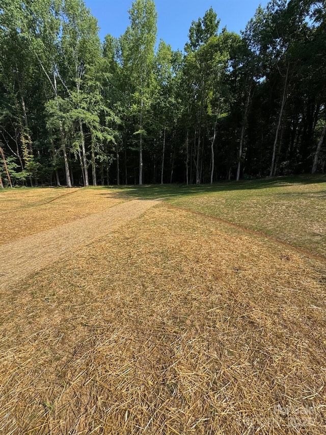 8315 Adrian Ct, Charlotte, NC 28270 - view of green lawn