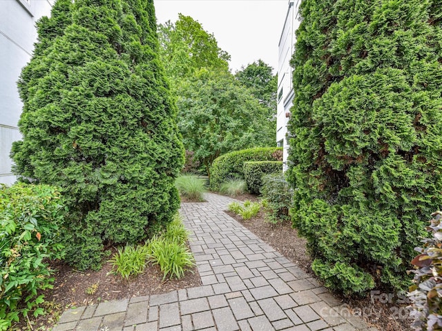 314 Viburnum Way Ct, Charlotte, NC 28208 - view of patio / terrace