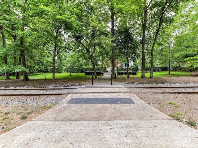 314 Viburnum Way Ct, Charlotte, NC 28208 - view of yard with view of scattered trees