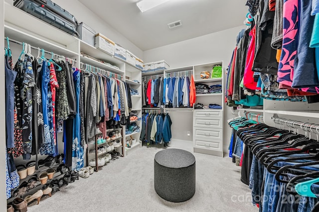 1702 Batson Creek Ln, Weddington, NC 28104 - spacious closet featuring carpet flooring