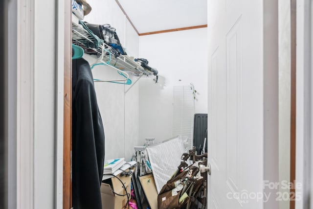1007 W Cabaniss Rd, Shelby, NC 28150 - view of walk in closet