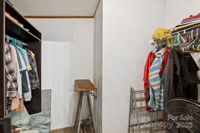 1007 W Cabaniss Rd, Shelby, NC 28150 - view of spacious closet