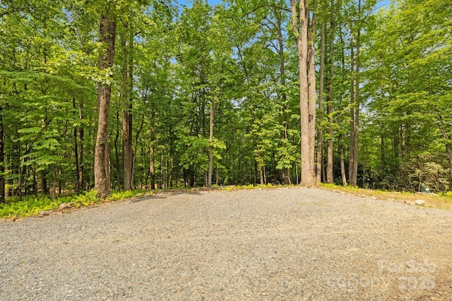 584 Springbrook Ln, Brevard, NC 28712 - photo 33