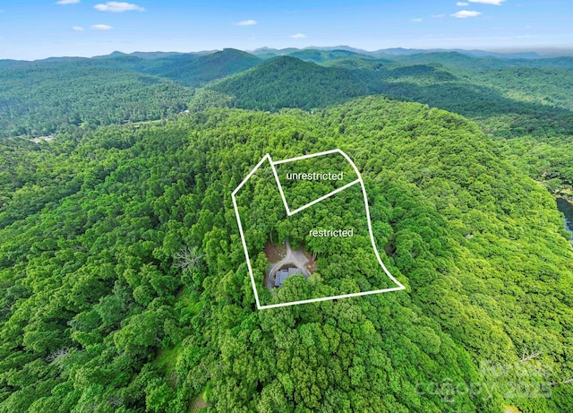 584 Springbrook Ln, Brevard, NC 28712 - photo 34