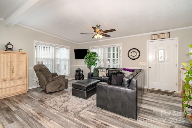 161 Badin Lake Cir, New London, NC 28127 - living area featuring wood finished floors, a ceiling fan, plenty of natural light, ornamental molding, and baseboards