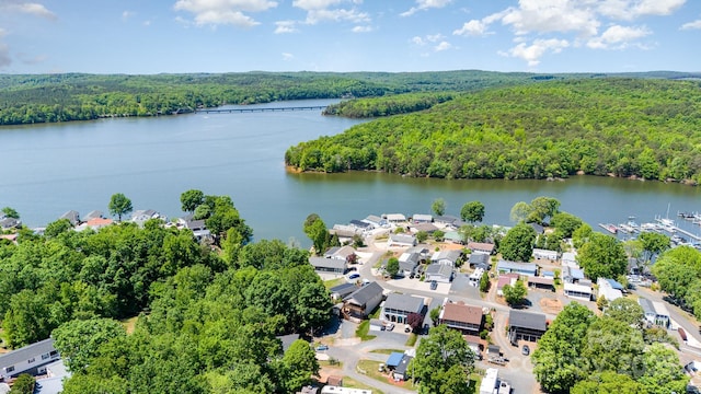 161 Badin Lake Cir, New London, NC 28127 - drone / aerial view of a heavily wooded area and a nearby body of water
