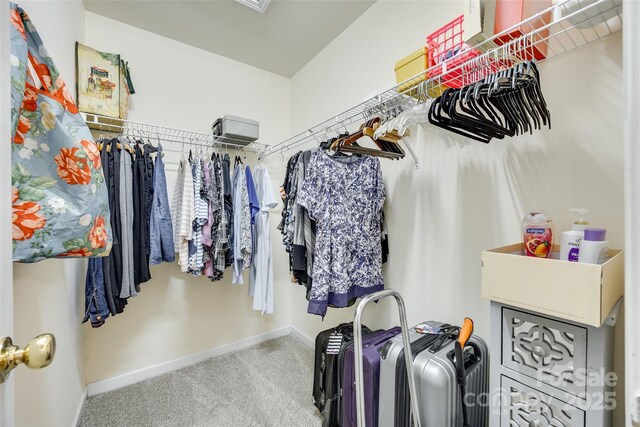 1003 Silver Springs Rd, Fort Mill, SC 29715 - walk in closet featuring carpet