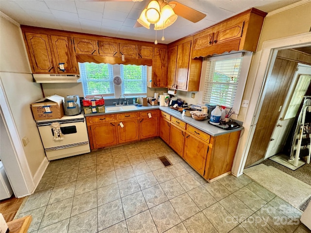 1733 S NC-16 Business Hwy, Stanley, NC 28164 - kitchen featuring a sink, under cabinet range hood, healthy amount of natural light, electric stove, and crown molding