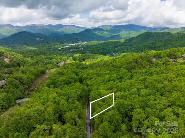 52 Settings Blvd, Black Mountain, NC 28711