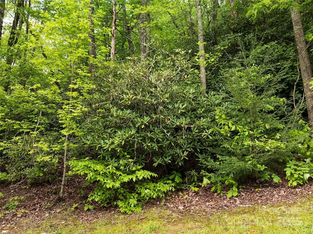 52 Settings Blvd, Black Mountain, NC 28711